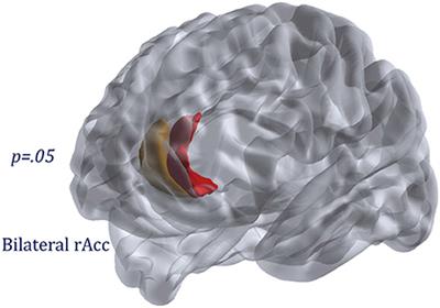 Intrinsic Frontolimbic Connectivity and Mood Symptoms in Young Adult Cannabis Users